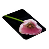 Magnet Flexible Tulipes 3272 (Côté Droit)