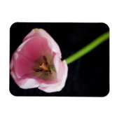 Magnet Flexible Tulipes 3272 (Horizontal)