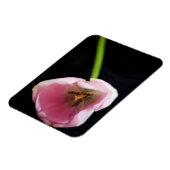 Magnet Flexible Tulipes 3272 (Côté Gauche)