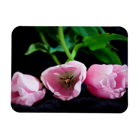Magnet Flexible Tulipes 3273 (Horizontal)
