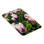 Magnet Flexible Tulipes à rayures blanches et violettes (Côté Droit)