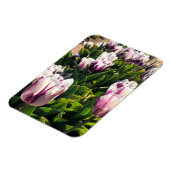 Magnet Flexible Tulipes à rayures blanches et violettes (Côté Gauche)