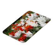 Magnet Flexible Tulipes blanches et gingembre dans le jardin (Côté Gauche)