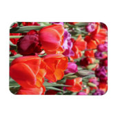 Magnet Flexible Tulipes chaudes tombées (Horizontal)