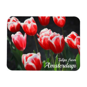 Magnet Flexible Tulipes d'Amsterdam