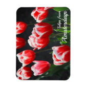 Magnet Flexible Tulipes d'Amsterdam (Vertical)