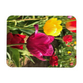 Magnet Flexible Tulipes de printemps, Oregon (Horizontal)