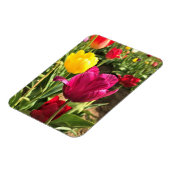 Magnet Flexible Tulipes de printemps, Oregon (Côté Gauche)