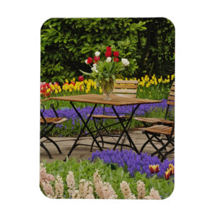 Magnet Flexible Tulipes de table dans le jardin, Jardins de Keuken