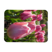 Magnet Flexible Tulipes roses (Horizontal)