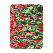Magnet Flexible Tulipes rouges (Vertical)