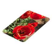Magnet Flexible Tulipes rouges à l'intérieur (Côté Gauche)