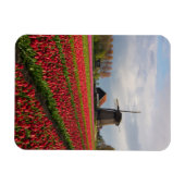 Magnet Flexible Tulipes rouges et moulin à vent (Horizontal)