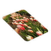 Magnet Flexible Tulips (Côté Droit)