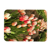 Magnet Flexible Tulips (Horizontal)