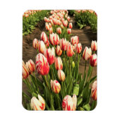 Magnet Flexible Tulips (Vertical)