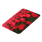 Magnet Flexible Tulips Coral Pink (Côté Gauche)