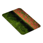 Magnet Flexible Tulips et Trees (Côté Droit)