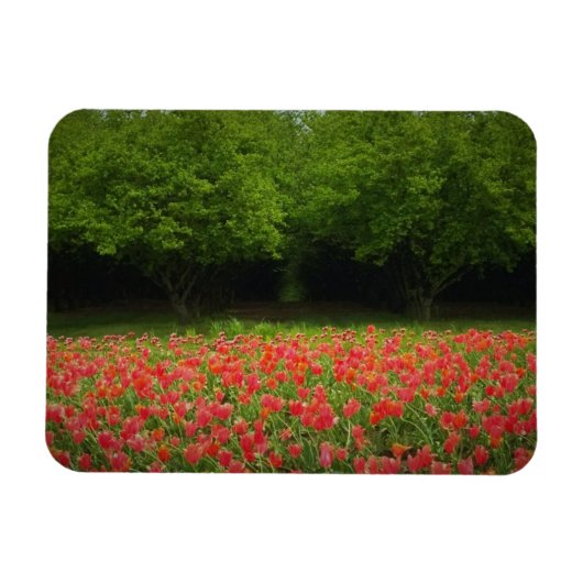 Magnet Flexible Tulips et Trees (Horizontal)