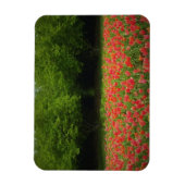 Magnet Flexible Tulips et Trees (Vertical)