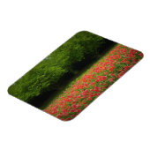 Magnet Flexible Tulips et Trees (Côté Gauche)