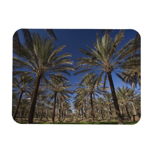 Magnet Flexible Tunisie, Sahara Desert, Douz, Zone Touristique, 2 (Horizontal)