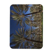 Magnet Flexible Tunisie, Sahara Desert, Douz, Zone Touristique, 2 (Vertical)