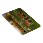 Magnet Flexible Tuolumne Meadow, yosemite (Côté Droit)