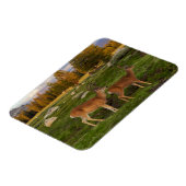 Magnet Flexible Tuolumne Meadow, yosemite (Côté Gauche)