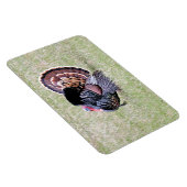 Magnet Flexible Turquie sauvage (Côté Droit)