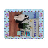 Magnet Flexible Tuxedo Cat Funny Cute Cats Valentines Day Blue (Horizontal)