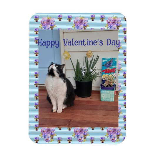 Magnet Flexible Tuxedo Cat Funny Cute Cats Valentines Day Blue (Vertical)