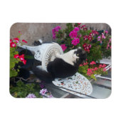 Magnet Flexible Tuxedo Chat Cute Jolie Fleurs Chats Carte d'Annive (Horizontal)