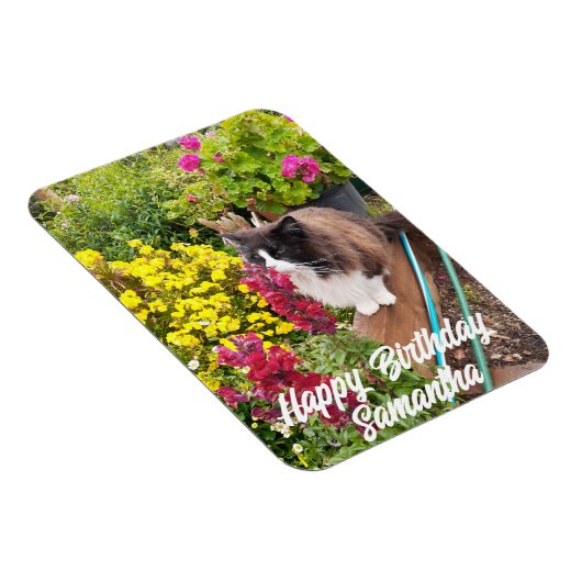 Magnet Flexible Tuxedo Chat Fleurs de Couture Chats Aimant d'anniv (Côté Droit)