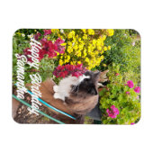 Magnet Flexible Tuxedo Chat Fleurs de Couture Chats Aimant d'anniv (Horizontal)