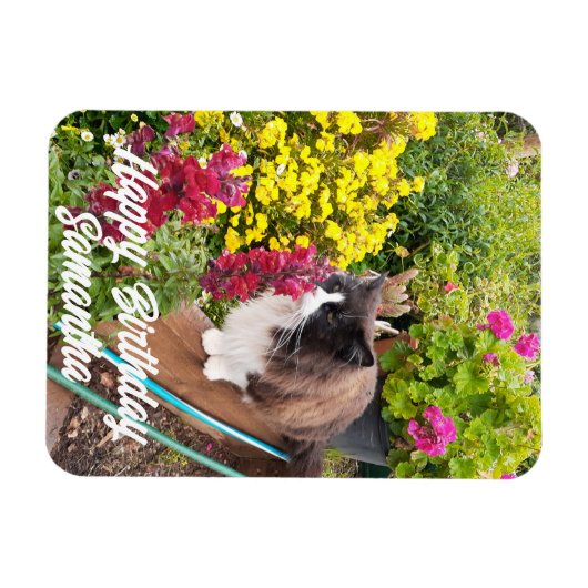 Magnet Flexible Tuxedo Chat Fleurs de Couture Chats Aimant d'anniv (Horizontal)