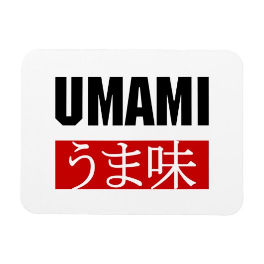 MAGNET FLEXIBLE UMAMI う ま 味 (Horizontal)