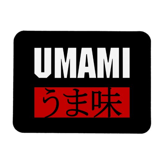 MAGNET FLEXIBLE UMAMI う ま 味 (Horizontal)