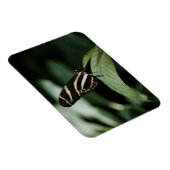 Magnet Flexible Un aimant Premium pour repas équilibré (Côté Droit)