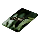Magnet Flexible Un aimant Premium pour repas équilibré (Côté Gauche)