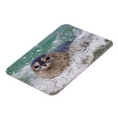 Magnet Flexible Un bébé phoque surfant (Côté Gauche)
