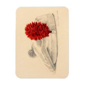 Magnet Flexible Un Black Watch Red hackle 2004 (Vertical)