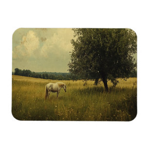 Magnet Flexible Un cheval blanc paissant dans un champ