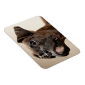 Magnet Flexible Un chiot de Brindle Boxer qui regarde curieusement (Côté Droit)