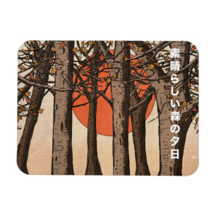 Magnet Flexible Un coucher de soleil merveilleux en forêt