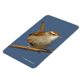 Magnet Flexible Un curieux Wren de Bewick's Wren dans l'arbre (Côté Gauche)