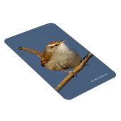 Magnet Flexible Un curieux Wren de Bewick's Wren dans l'arbre (Côté Droit)