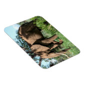 Magnet Flexible Un éléphant africain au Safari (Côté Droit)