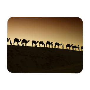 Magnet Flexible Un groupe de chameliers avec leurs chameaux