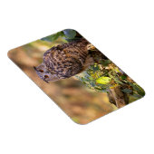 Magnet Flexible Un hibou de l'aigle (Côté Droit)